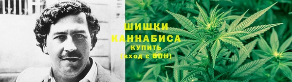 МДПВ Абдулино
