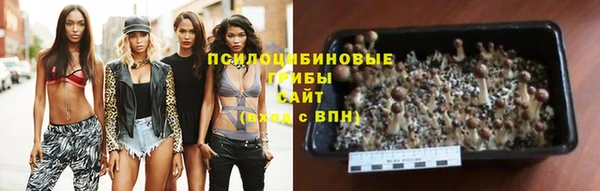 МДПВ Абдулино