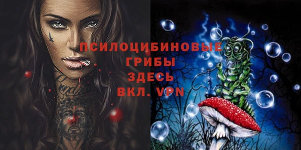 амф Абаза