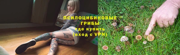 амф Абаза