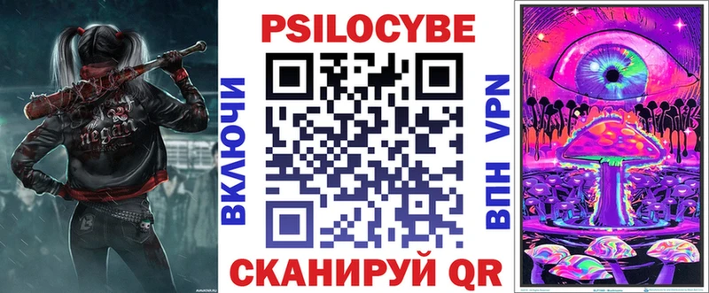 Псилоцибиновые грибы Psilocybe  Тырныауз 